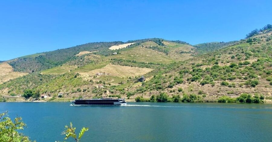 Porto: Douro Valley Private Tour 2 Vineyards & River Cruise - Second Sabrosa vineyard visit: why the tour does two tasting rounds