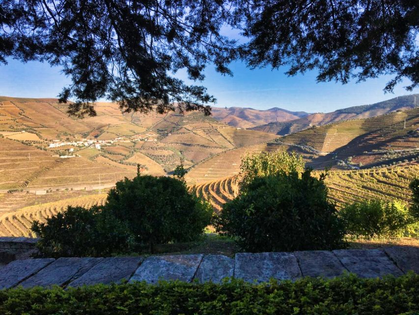 Porto: Douro Valley Private Tour 2 Vineyards & River Cruise - Price and value: what $577 buys for a private Douro day up to 2