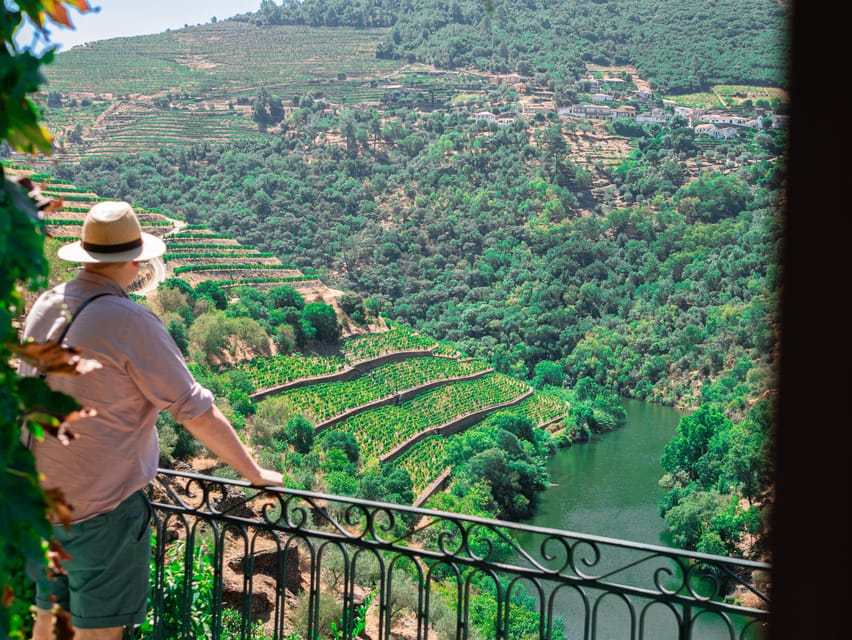 Porto: Douro Valley Private Tour, Tastings, Cruise & Lunch - The rhythm of a 10-hour private Douro day