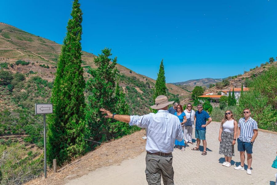 Porto: Douro Valley Private Tour, Tastings, Cruise & Lunch - Comfort, language, and planning so the day stays easy