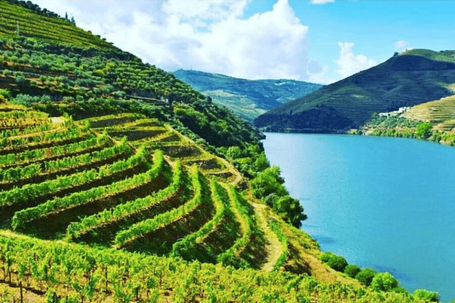 Porto: Douro Valley Tour w/ 3 Tastings, Lunch, & Opt. Cruise - Pinhão station and the blue-tile wine story