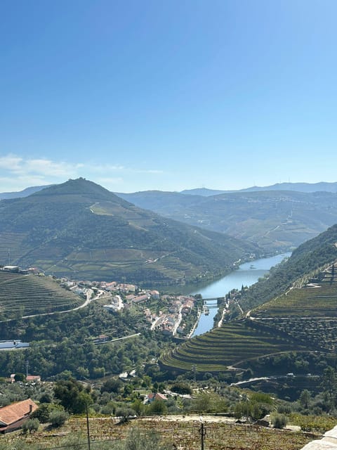 Porto: Douro Valley Tour w/ 3 Tastings, Lunch, & Opt. Cruise - The family winery lunch that feels exclusive, not canned