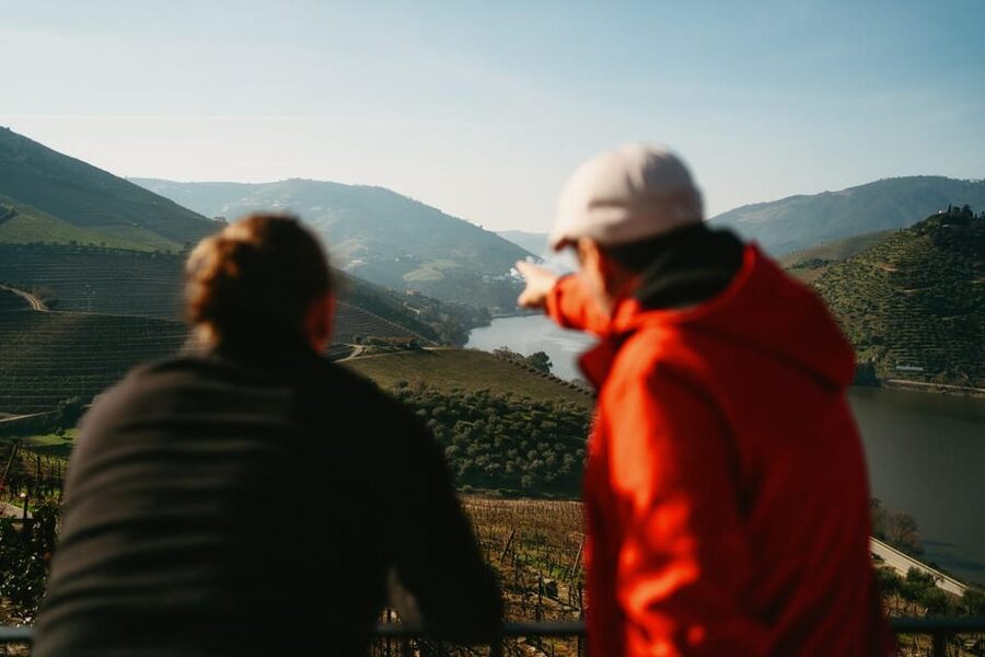 Porto: Douro Valley Tour with 2 Wineries, Lunch and Cruise - Key highlights worth planning around