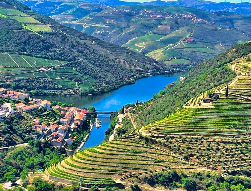 Porto: Douro Valley Tour with 2 Wineries, Lunch and Cruise - Olive oil tastings, because the Douro is more than wine