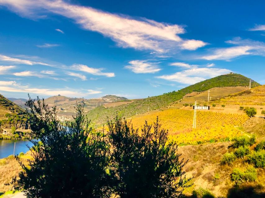 Porto: Douro Valley Tour with 2 Wineries, Lunch and Cruise - Pinhão and the Douro River cruise, your scenic payoff