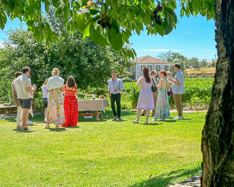 Porto: Douro Valley Tour with 2 Wineries, Lunch and Cruise - Favaios First: Cobblestones, Historic Bakery Bread, and Quick Flavor Stops