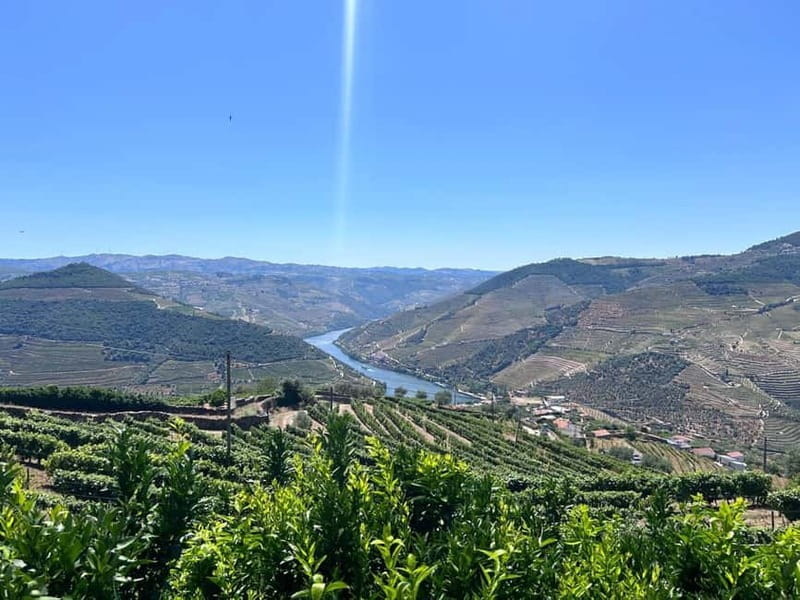 Porto: Douro Valley Tour with 3 Wineries and Lunch - Porto to the Douro Valley in a single day: what 9 hours really means