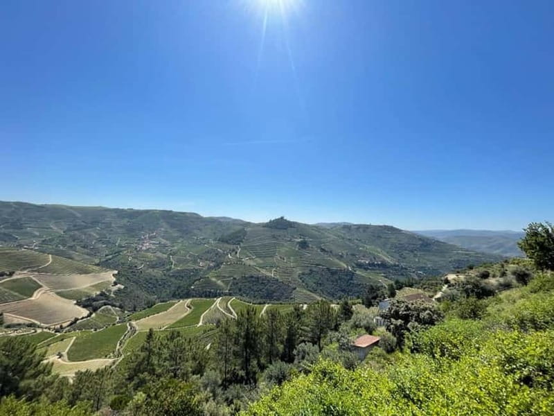 Porto: Douro Valley Tour with 3 Wineries and Lunch - Pacing, comfort, and rain or shine: how to make the day feel good