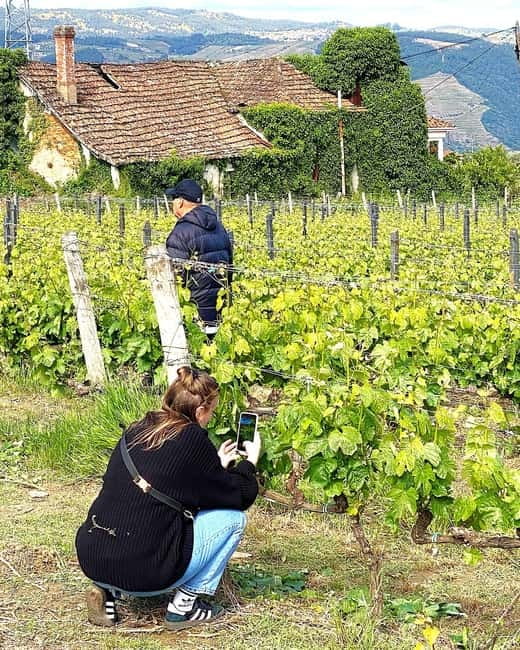 Porto: Douro Valley Tour with 3 Wineries and Lunch - Price and value at about $123 per person