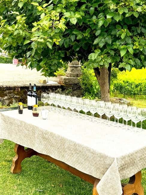 Porto: Douro Valley Tour with 3 Wineries and Lunch - Trindade Metro pickup to scenic viewpoints: you get your bearings fast