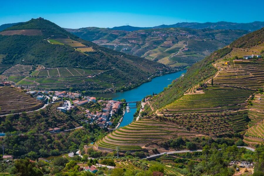 Porto: Douro Valley Tour with Lunch, Boat Cruise & Tastings - Who this tour is best for, and who should think twice