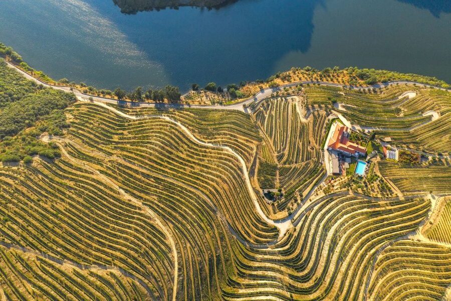 Porto: Douro Valley Tour with Lunch, Boat Cruise & Tastings - Lunch in a wine cellar, pairing you can actually enjoy
