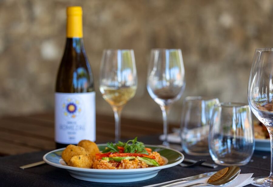 Porto: Douro Valley Tour with Lunch, Boat Cruise & Tastings - Getting back to Porto and using the free walking tour well