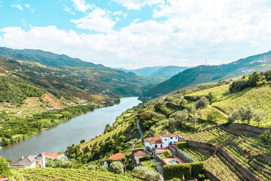 Porto: Douro Valley Tour with Wine Tasting, Cruise and Lunch - Key points to know before you go