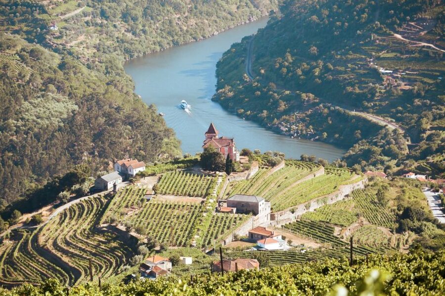 Porto: Douro Valley Tour with Wine Tasting, Cruise and Lunch - Lunch in the Douro area, what you get and what to watch for
