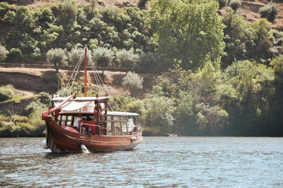 Porto: Douro Valley Tour with Wine Tasting, Cruise and Lunch - Guide energy and the bus ride, why the day feels fun