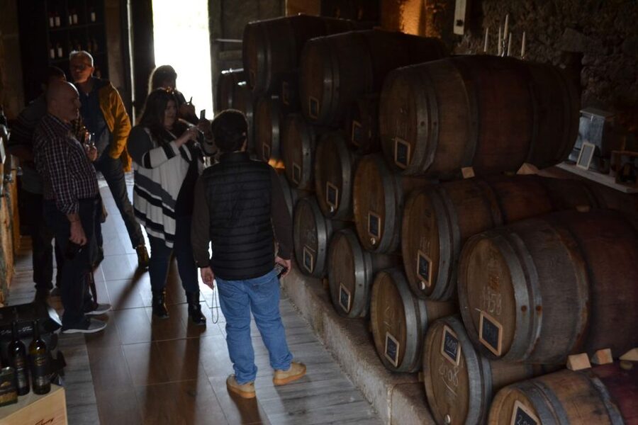 Porto: Douro Valley Vineyards Tour with Lunch & River Cruise - Key things I’d watch for on this Douro day