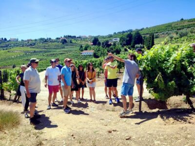 Douro Valley Vineyards Tour with Lunch & River Cruise