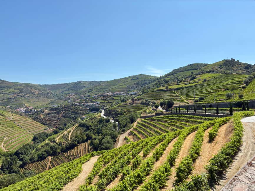 Porto: Douro Valley Wine Tour in a Small Group with a Boat Ride, Wine & Food - Winery time in a family setting, not a showroom