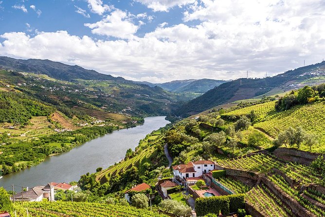 Porto: Douro Valley Wine Tour Including Lunch - Driving the National Road 222: seeing the route, not just reaching it