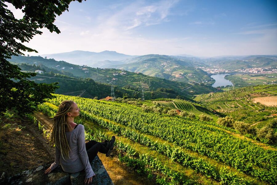 Porto: Douro Valley Wine Tour with a Sommelier & Boat Trip - Price and value: $127 for a full day that includes real extras