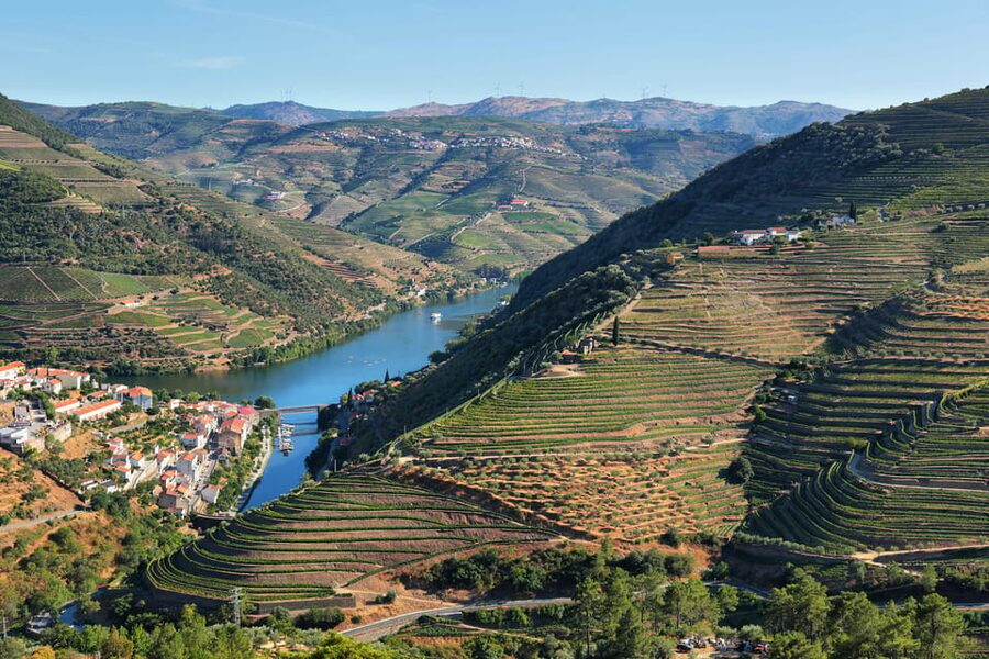 Porto: Douro Valley Wine Tour with a Sommelier & Boat Trip - Getting out of Porto: van time that actually sets the mood