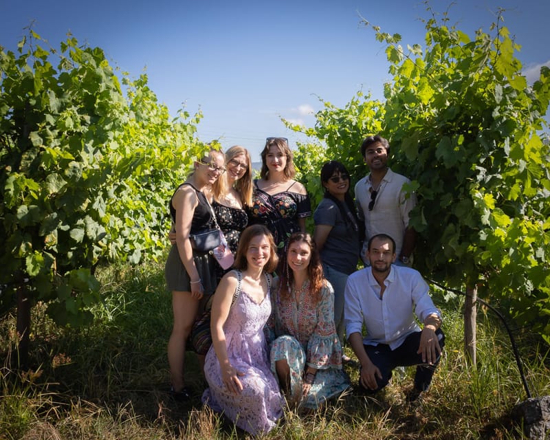 Porto: Douro Valley Wine Tour with a Sommelier & Boat Trip - The 1-hour Douro River boat cruise in Pinhão