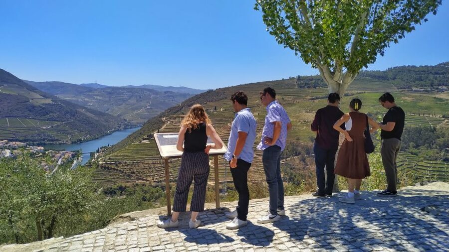 Porto: Douro Valley Wine Tour with Tastings, Boat, and Lunch - Key moments that make this tour click