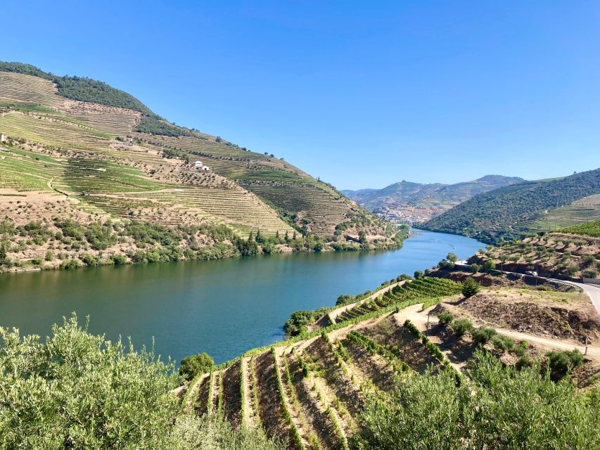 Porto: Douro Valley Wine Tour with Tastings, Boat, and Lunch - The Port stop: learning what you taste