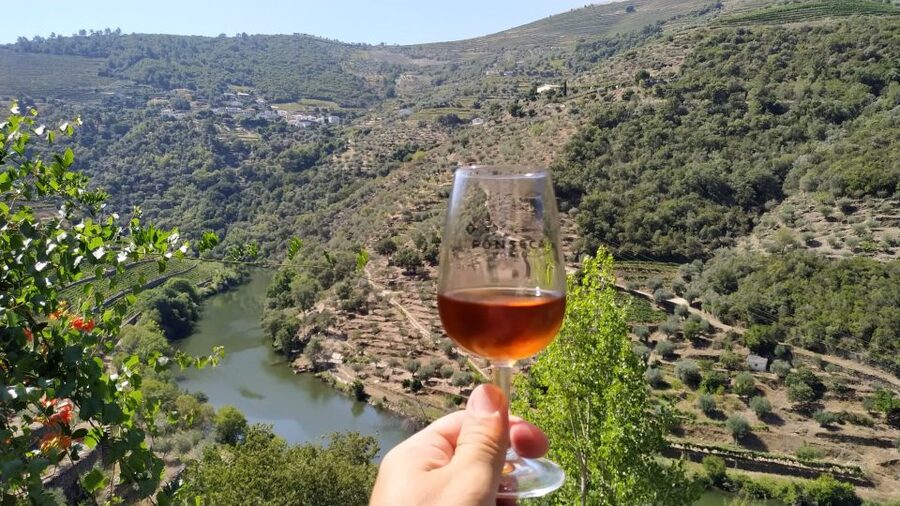 Porto: Douro Valley Wine Tour with Tastings, Boat, and Lunch - Lunch at a countryside winery: open-fire food in the garden