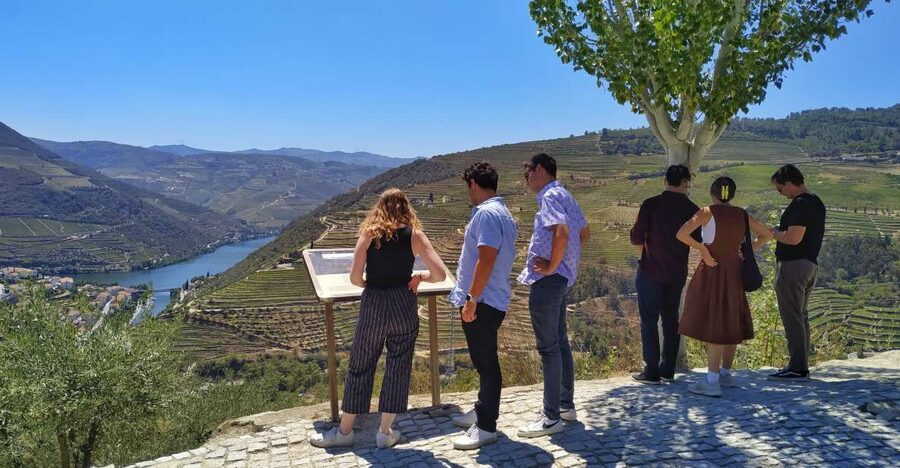 Porto: Douro Valley Wine Tour with Tastings, Boat, and Lunch - How much buying pressure you should expect