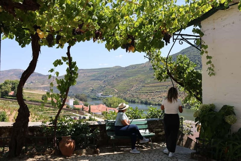Porto: Douro Valley Wine Tour with Tastings, Lunch & Cruise - Who This Tour Fits Best (and Who Might Skip It)
