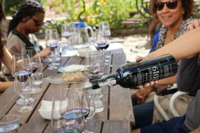 Douro Valley Wine Tour with Tastings, Lunch & Cruise