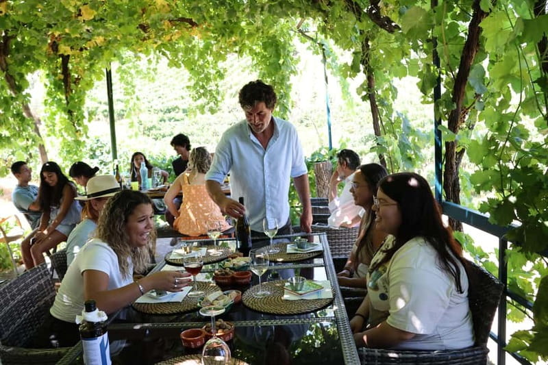 Porto: Douro Valley Wine Tour with Tastings, Lunch & Cruise - Lunch at a Vineyard: Wine Pairing That Actually Makes Sense