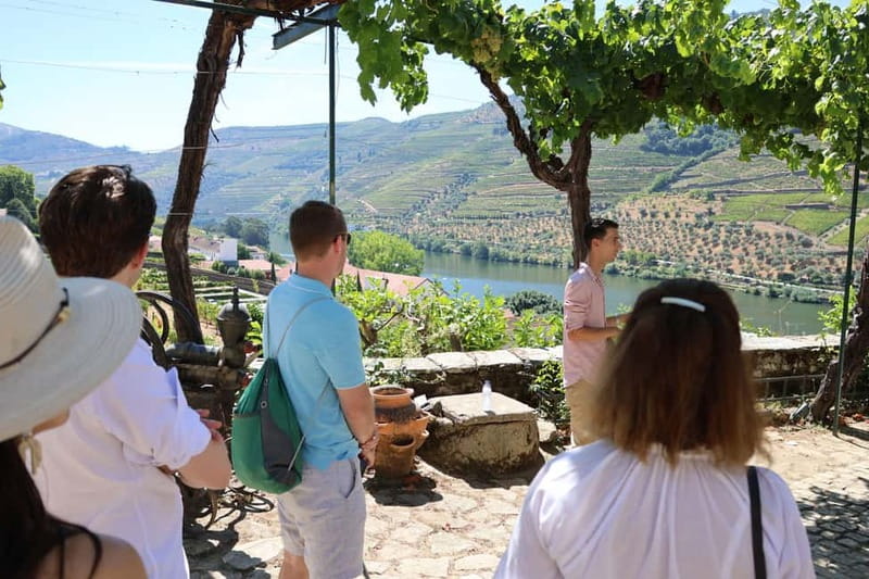 Porto: Douro Valley Wine Tour with Tastings, Lunch & Cruise - The Boat Cruise and Winery Schedule: How This Day Feels in Real Time