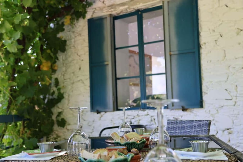 Porto: Douro Valley Wine Tour with Tastings, Lunch & Cruise - Price and Value: What $113 Gets You, and Why It Can Be Worth It