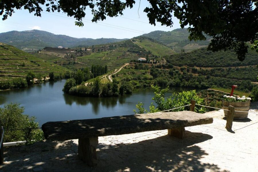 Porto: Douro Valley Wine Tour - Sabrosa winery tasting: where Port wine context becomes real