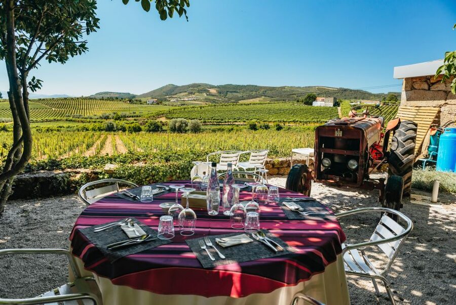 Porto: Douro Valley with Winery Lunch, Tastings & Cruise - Second estate visit at a prestigious quinta: 3 wines and the Douro craft