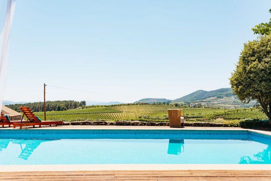 Porto: Douro Valley with Winery Lunch, Tastings & Cruise - Guide and driver: why names keep coming up in the reviews