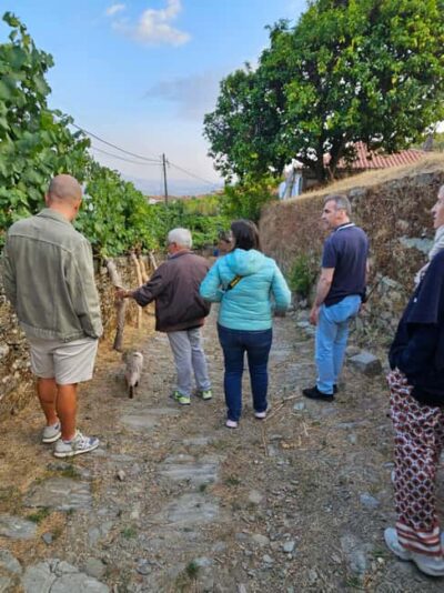 Douro: visit to a Quinta with wine tasting and train trip