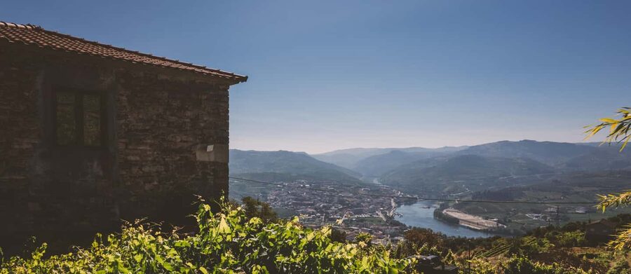 Porto-Douro: visit to a Quinta with wine tasting and train trip - Price and value for a 5-hour Douro day