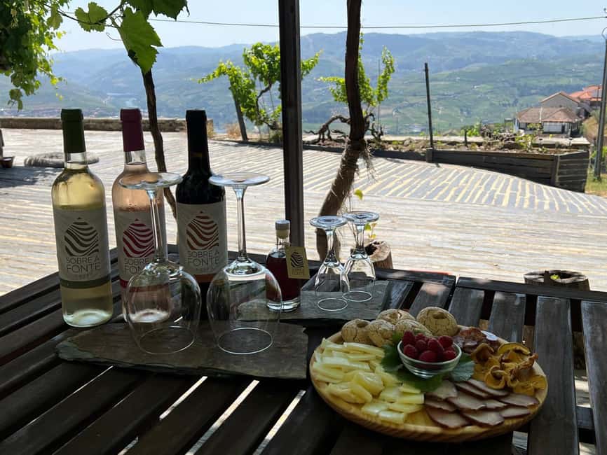 Porto-Douro: visit to a Quinta with wine tasting and train trip - Who should book this Porto Douro tour