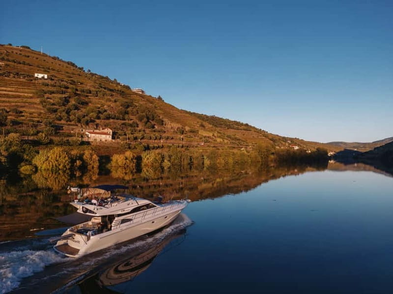 Porto: Full Day Douro River Cruise from Porto to Régua - First Impressions: A Small Private Yacht Makes the Douro Feel Personal