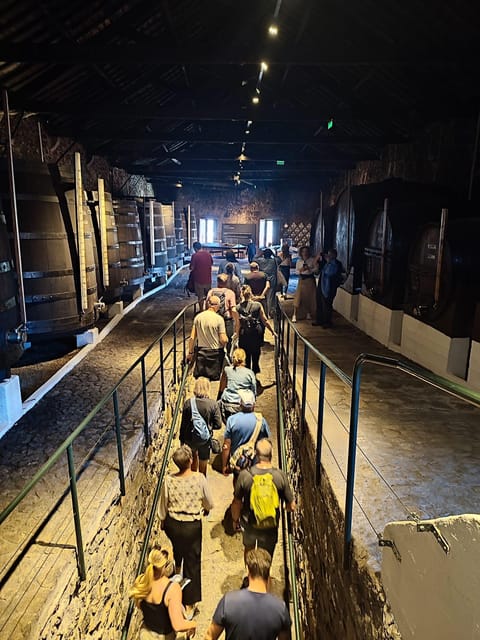 Porto: Port and Douro Wine Walking Tour with 9 Tastings - Why Vila Nova de Gaia Beats a Random Wine Tasting