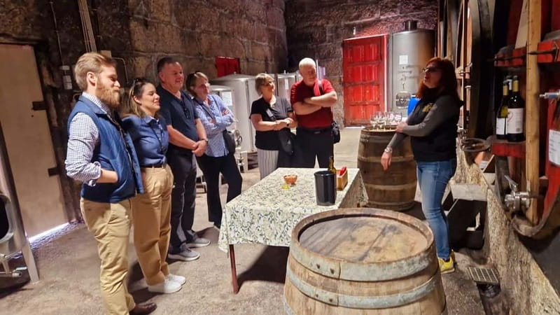 Porto: Premium Douro Valley Small-Group Tour, Cruise & Lunch - Porto to the Douro: why this day trip feels premium