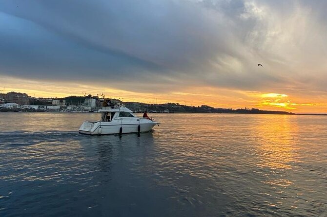 Porto: Private 6 bridges tour, Douro river with sunset option - Porto’s 6-Bridge Douro Cruise: Fast, Scenic, and Actually Useful