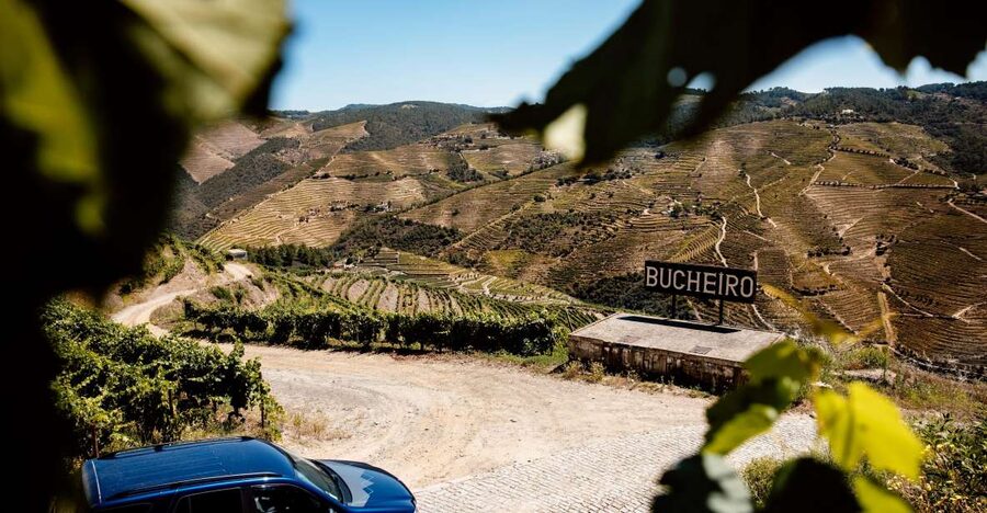 Porto: Private Douro Valley 4x4 Tour with Lunch - Quick hits