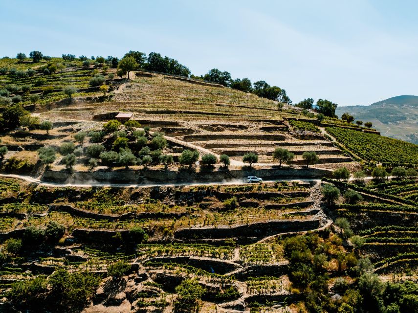 Porto: Private Douro Valley 4x4 Tour with Lunch - Private Douro River boat cruise: the valley seen from the water