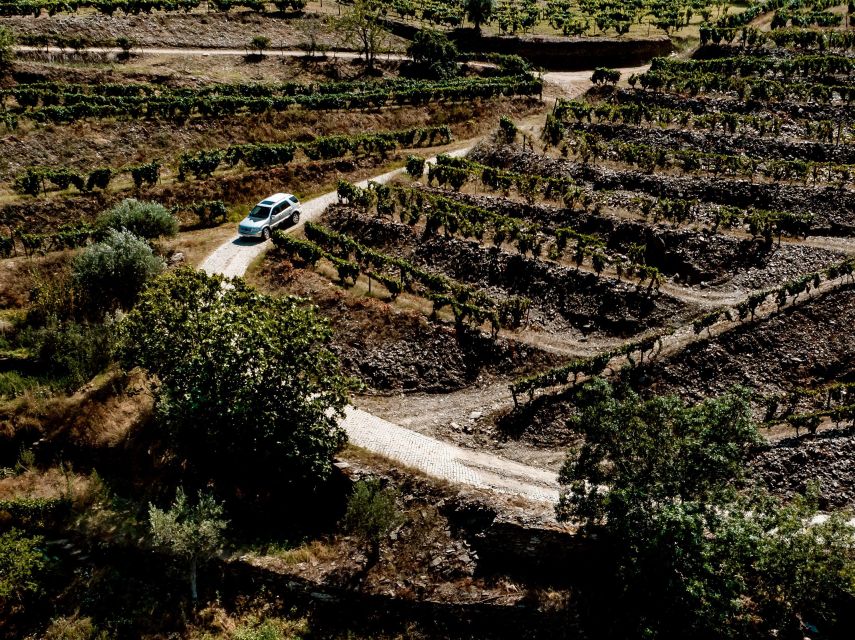 Porto: Private Douro Valley 4x4 Tour with Lunch - Who should book this 4x4 Douro day