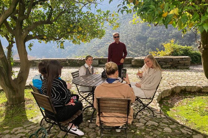 Porto: Private Douro Valley All Inclusive: Tastings, Lunch & Boat - Sabrosa Country House Lunch: Home-Cooked Food Plus Tastings